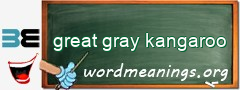 WordMeaning blackboard for great gray kangaroo